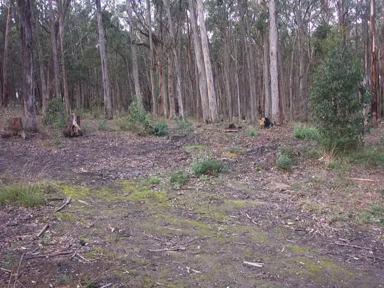 Second view of Homely land listing, LOT 123 Dales Creek Avenue, Dales Creek VIC 3341