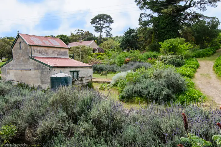Second view of Homely house listing, 32059 Princes Highway, Tantanoola SA 5280