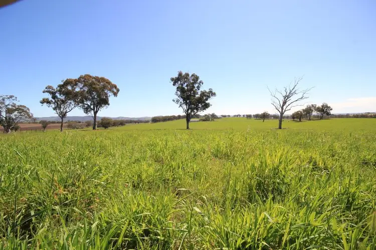 LOT 13 Hill View Estate, Gulgong NSW 2852