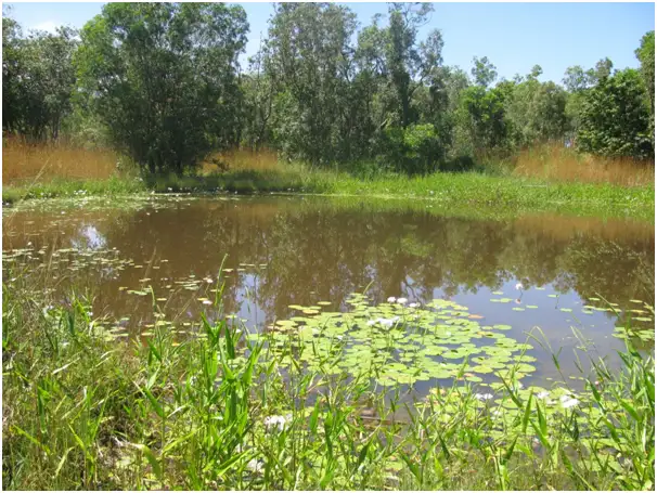 61 Mcgorrie Road, Marrakai NT 822