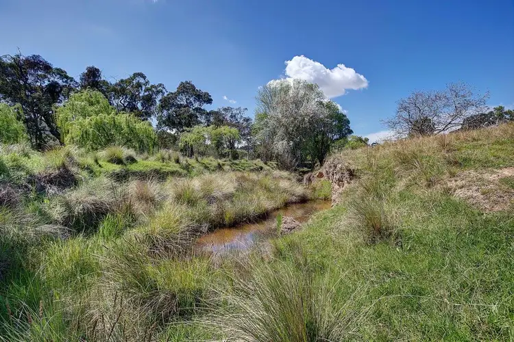 Fifth view of Homely rural property listing, 954 Pyramul Road, Mudgee NSW 2850
