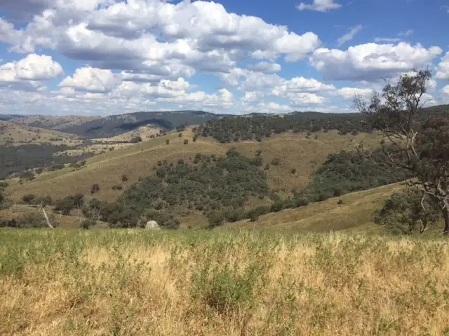 Seventh view of Homely rural property listing, LOT 36 Ullamalla Road, Mudgee NSW 2850