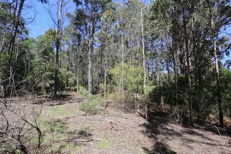 Sixth view of Homely land listing, 229 Grandview Drive, South Spreyton TAS 7310