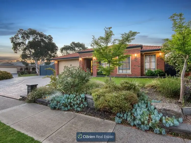 16 Spoonbill Street, Berwick VIC 3806