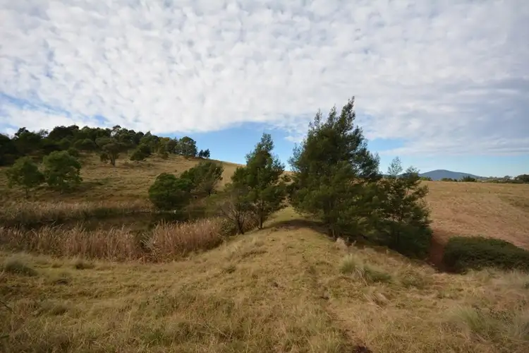 Fourth view of Homely rural property listing, 49 Quinlans Road, Verona NSW 2550