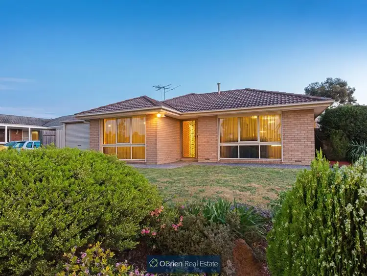 Main view of Homely house listing, 11 Nugent Court, Endeavour Hills VIC 3802