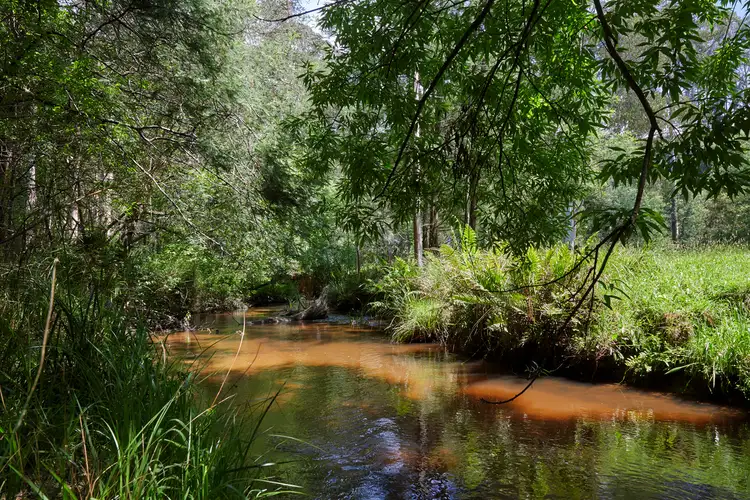 Fourth view of Homely land listing, 195 Loch Valley Road, Noojee VIC 3833