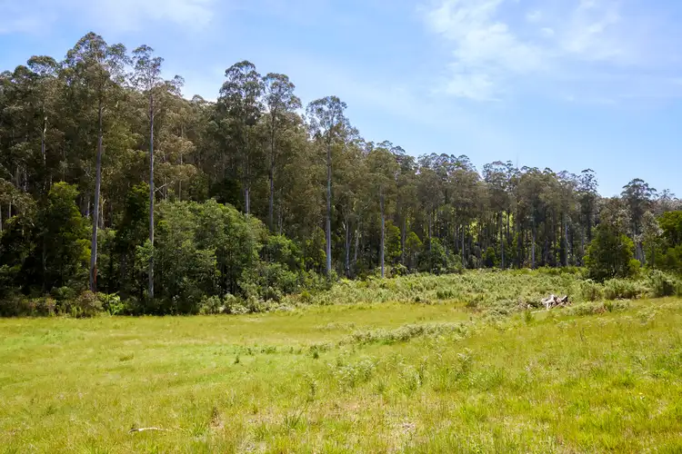 Fifth view of Homely land listing, 195 Loch Valley Road, Noojee VIC 3833