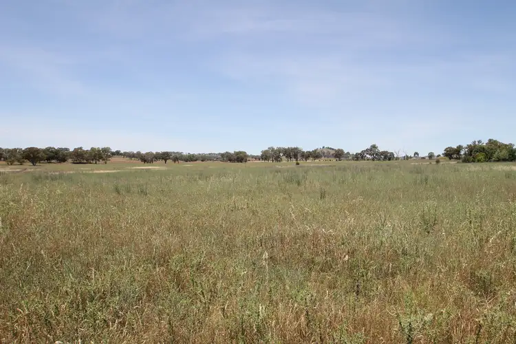 Main view of Homely rural property listing, LOT 1, 168 & 6, 168 Bergalin Road, Gulgong NSW 2852