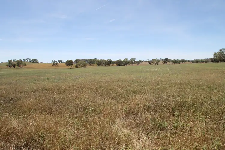 Second view of Homely rural property listing, LOT 1, 168 & 6, 168 Bergalin Road, Gulgong NSW 2852