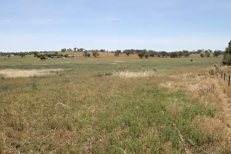 Third view of Homely rural property listing, LOT 1, 168 & 6, 168 Bergalin Road, Gulgong NSW 2852