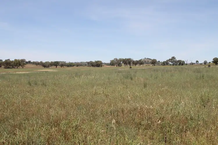 Fourth view of Homely rural property listing, LOT 1, 168 & 6, 168 Bergalin Road, Gulgong NSW 2852