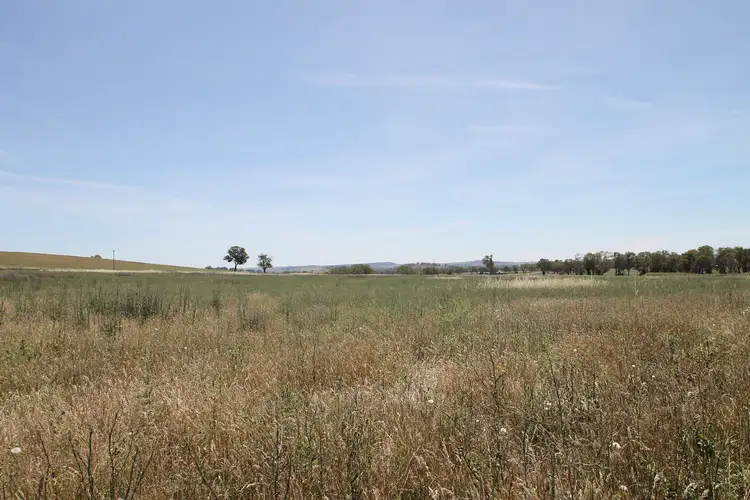 Fifth view of Homely rural property listing, LOT 1, 168 & 6, 168 Bergalin Road, Gulgong NSW 2852