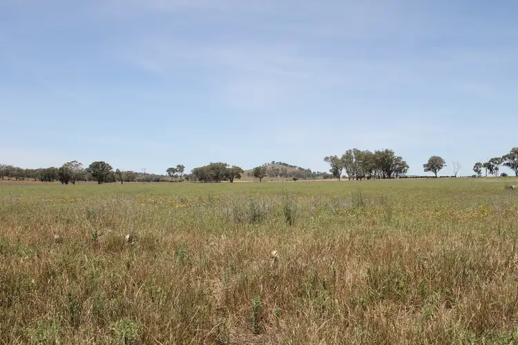 Sixth view of Homely rural property listing, LOT 1, 168 & 6, 168 Bergalin Road, Gulgong NSW 2852