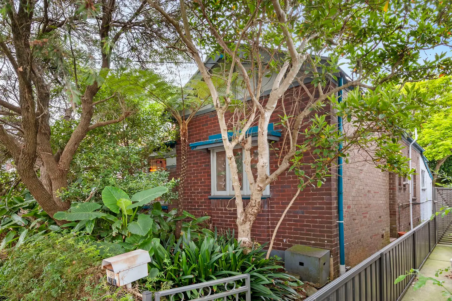Main view of Homely house listing, 21 Alfred Street, Lilyfield NSW 2040