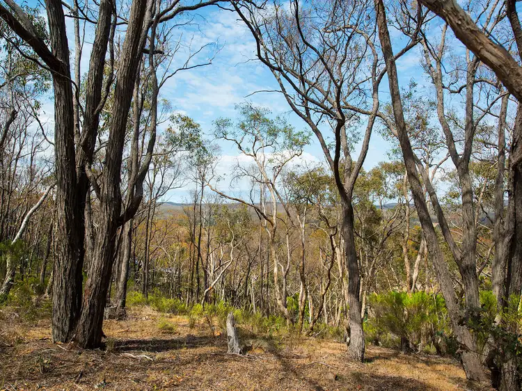 Third view of Homely house listing, 184 Goldspeck Gully Road, Chewton VIC 3451