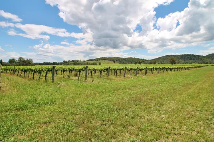 Second view of Homely rural property listing, 846 Eurunderee Lane, Mudgee NSW 2850