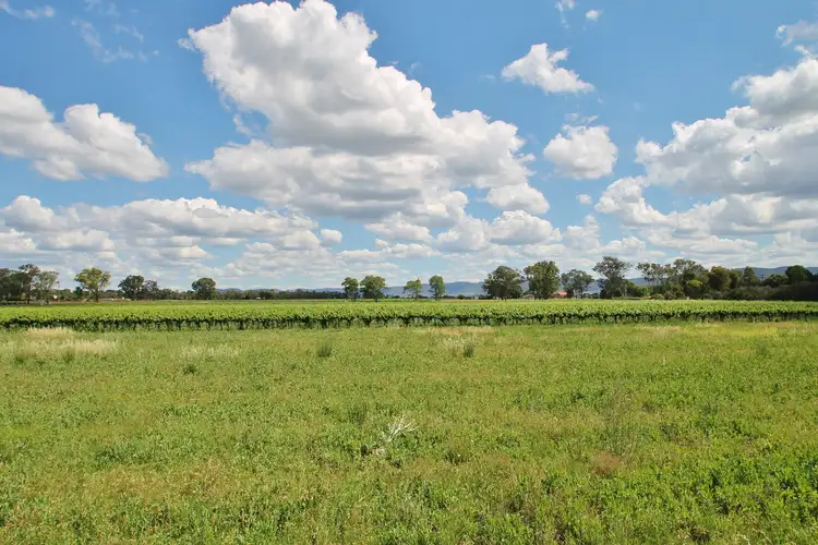 Fifth view of Homely rural property listing, 846 Eurunderee Lane, Mudgee NSW 2850