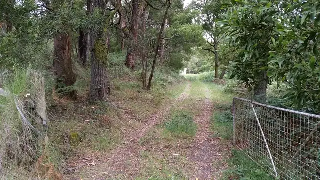 Main view of Homely land listing, 564 Greendale-Trentham Road, Blackwood VIC 3458