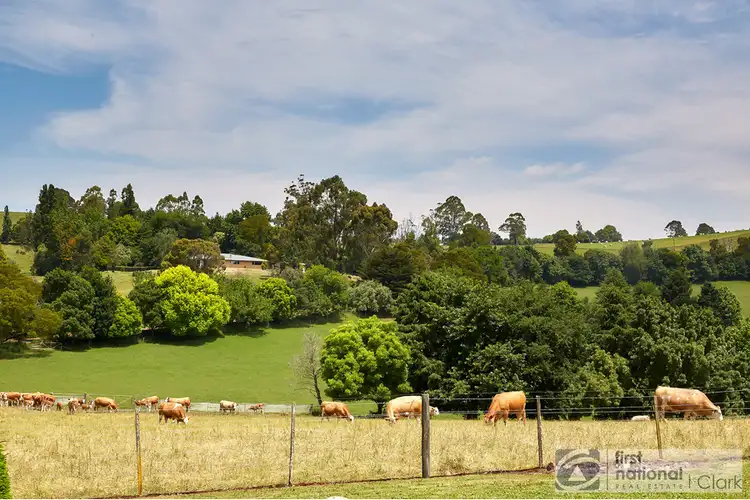 Fifth view of Homely rural property listing, 295 North Jindivick Road, Jindivick VIC 3818