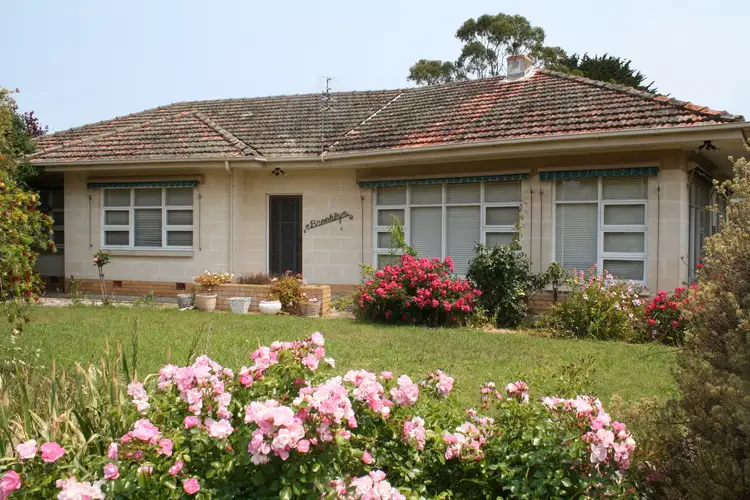 Main view of Homely house listing, 8 Randall Street, Tantanoola SA 5280