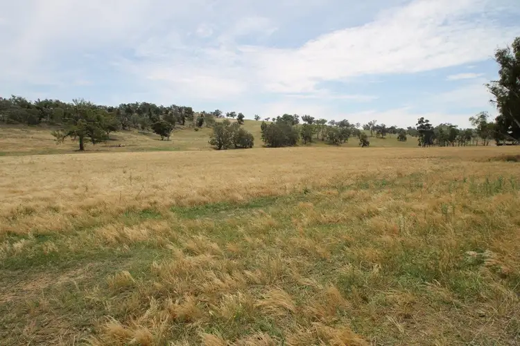 Second view of Homely rural property listing, 251 Pinelea Road, Goolma NSW 2852