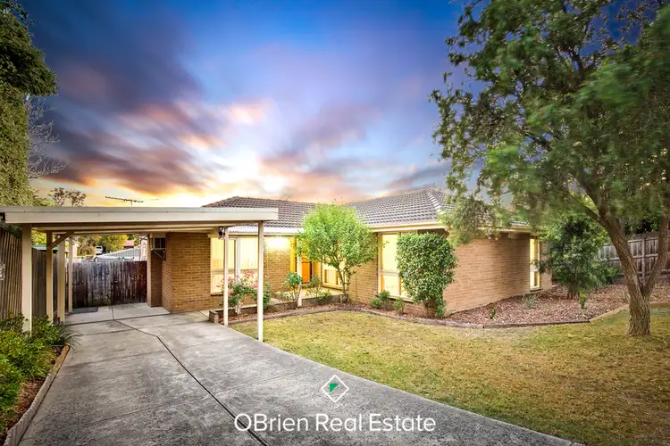 Main view of Homely house listing, 33 Maria Drive, Langwarrin VIC 3910