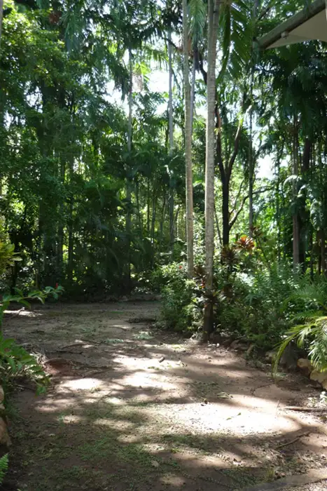 Sixth view of Homely house listing, 19 Pinarro Street, Batchelor NT 845