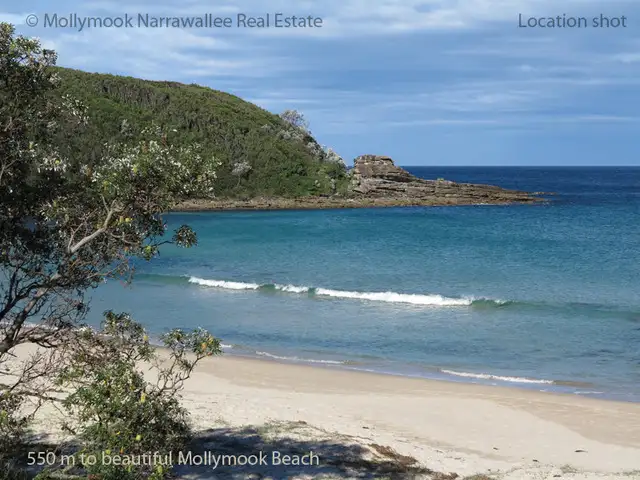 Fifth view of Homely house listing, 61 Tallwood Avenue, Mollymook Beach NSW 2539