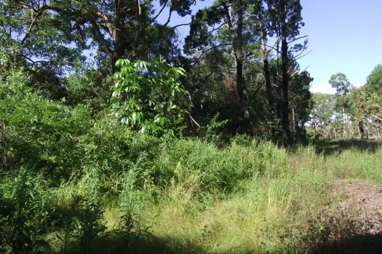 Second view of Homely land listing, 80 Whitepatch Esplanade, White Patch QLD 4507