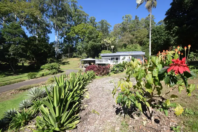 Third view of Homely rural property listing, 5381 Kyogle Road, Cawongla NSW 2474