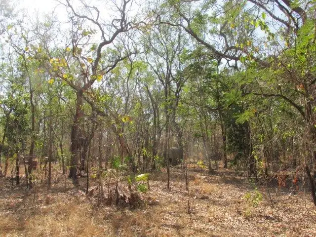 Second view of Homely land listing, 500 Peacock Road, Darwin River NT 841