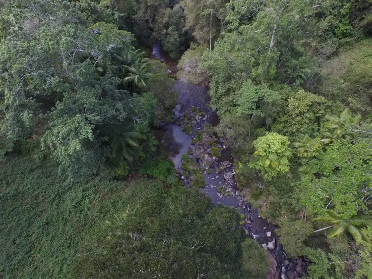 Seventh view of Homely rural property listing, 834 Terania Creek Road, The Channon NSW 2480