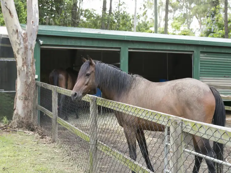 Sixth view of Homely rural property listing, 10-16 Boundary Road, Thornlands QLD 4164