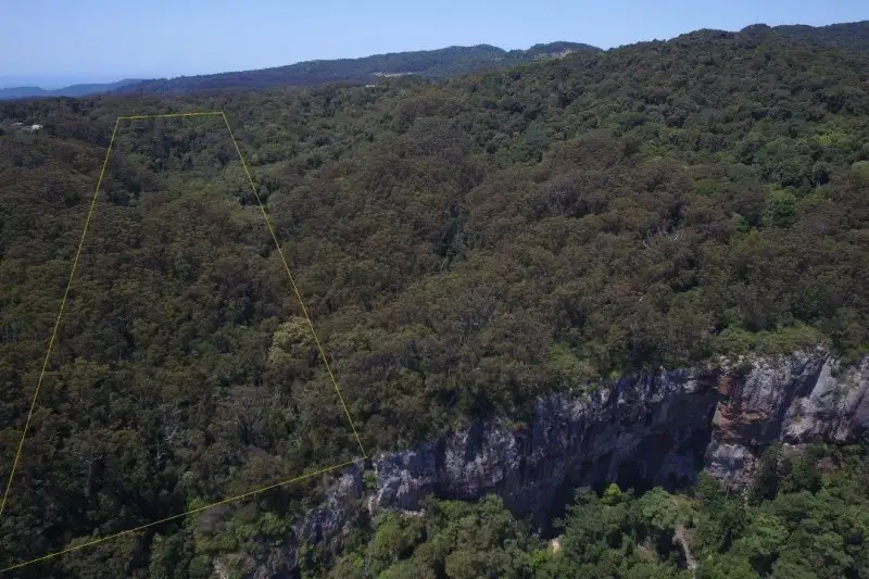 Main view of Homely land listing, 132 Repeater Station Road, Springbrook QLD 4213