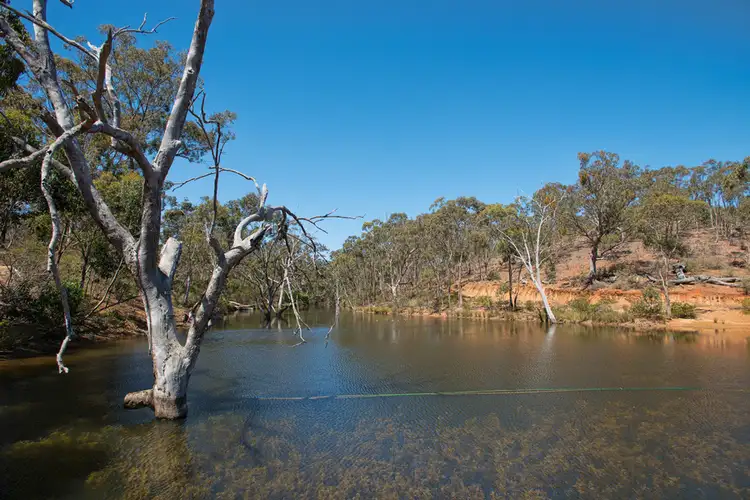 Fourth view of Homely rural property listing, 480 Lerderderg Gorge Road, Bacchus Marsh VIC 3340