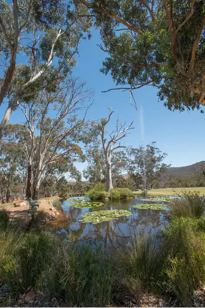 Seventh view of Homely rural property listing, 480 Lerderderg Gorge Road, Bacchus Marsh VIC 3340