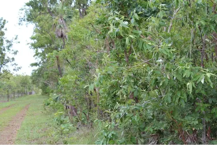 Fourth view of Homely land listing, 3665 Fog Bay Road, Dundee Forest NT 840