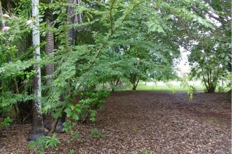 Sixth view of Homely rural property listing, 630 Litchfield Park Road, Batchelor NT 845