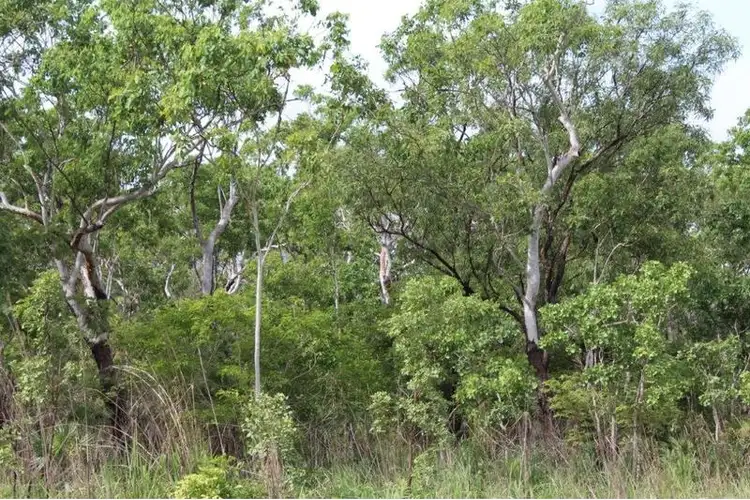 Sixth view of Homely rural property listing, Lot 9 Golding Road, Acacia Hills NT 822