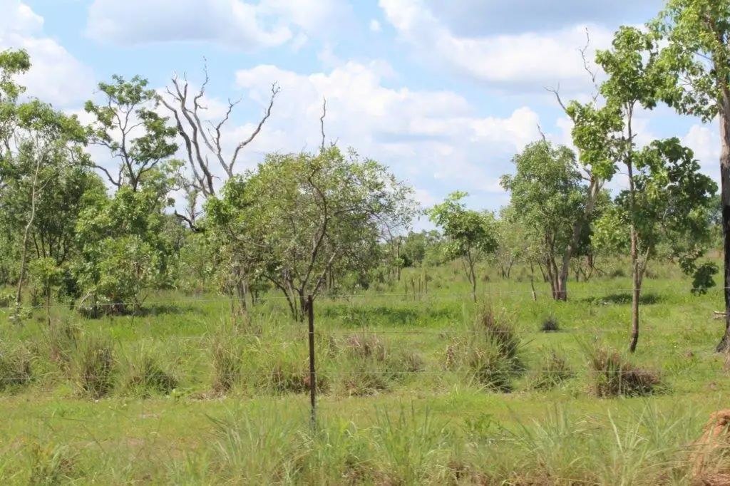 Main view of Homely rural property listing, LOT 14 Whitstone Road, Acacia Hills NT 822