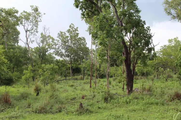 Fifth view of Homely rural property listing, LOT 14 Whitstone Road, Acacia Hills NT 822