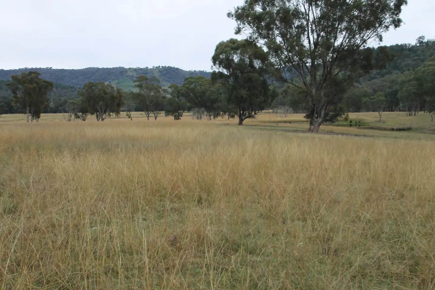 Main view of Homely rural property listing, Address available on request