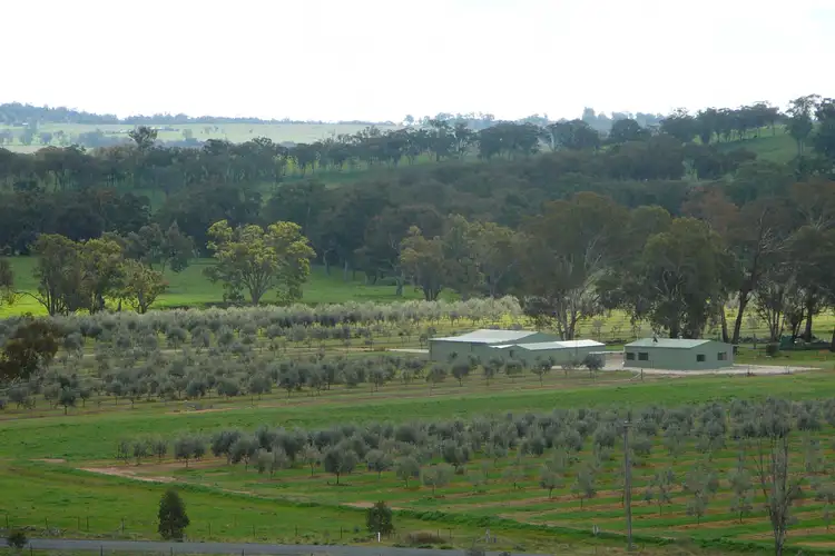 Main view of Homely rural property listing, 409 Botobolar Road, Mudgee NSW 2850