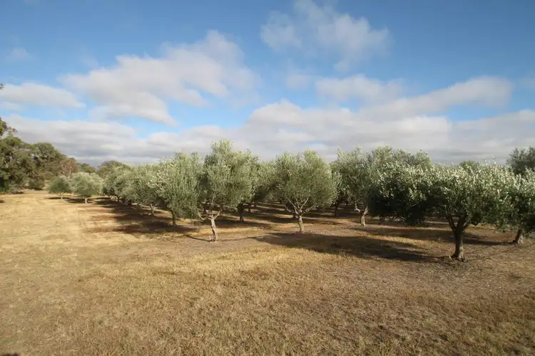Third view of Homely rural property listing, 409 Botobolar Road, Mudgee NSW 2850