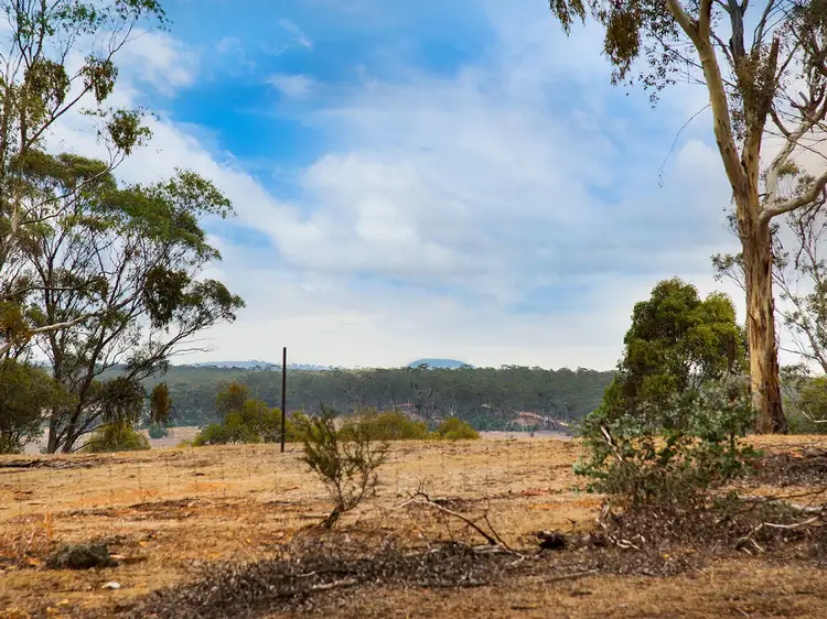 14B Palmerston Street, Newstead VIC 3462