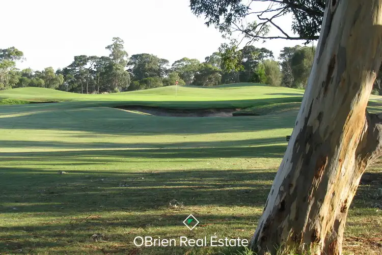 Sixth view of Homely house listing, 91 Scotch Parade, Bonbeach VIC 3196