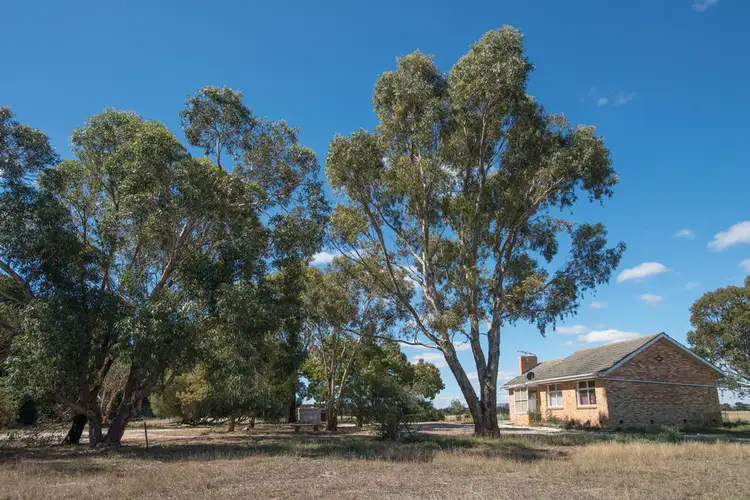 Main view of Homely house listing, 49 Gluepot Road, Morrisons VIC 3334