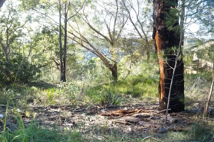 16 Foreman Place, Barden Ridge NSW 2234
