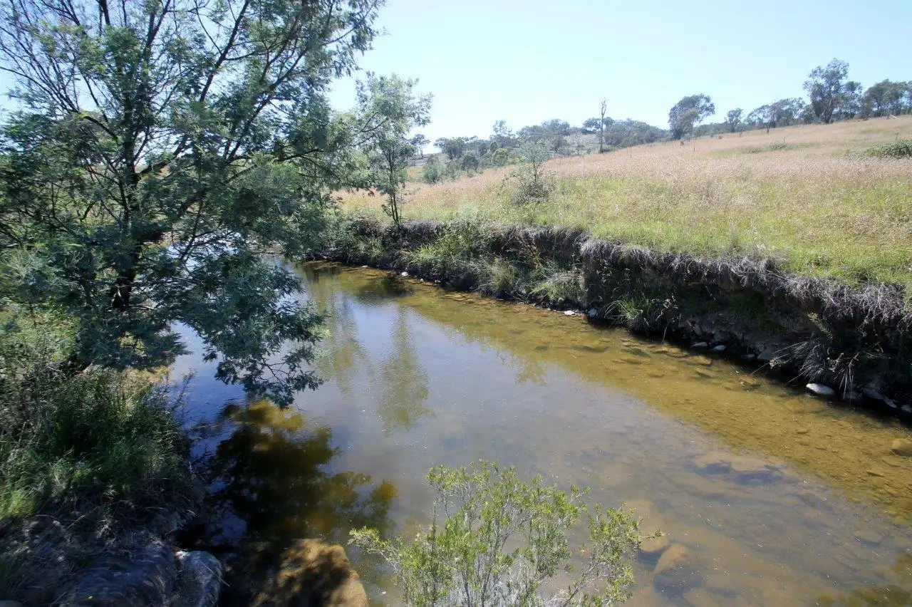 Main view of Homely rural property listing, 309 Pyramul Road, Mudgee NSW 2850